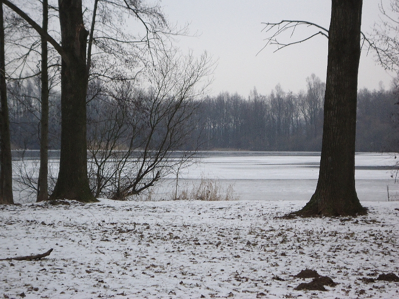 2012-02-12 09-44-00 Paul.JPG